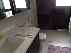 Palm Isles (D17), Condominium #548001301